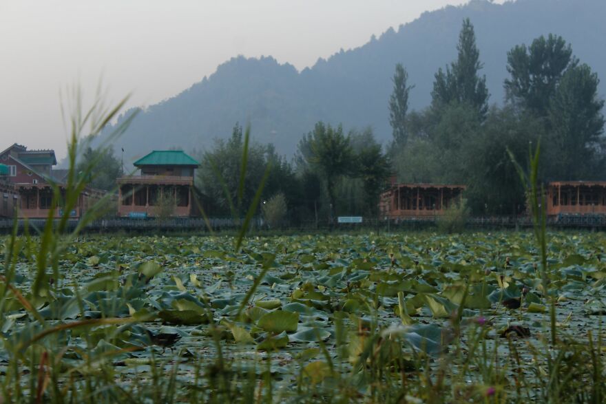 "English Palaces On The Water'' "English Palaces On The Water''