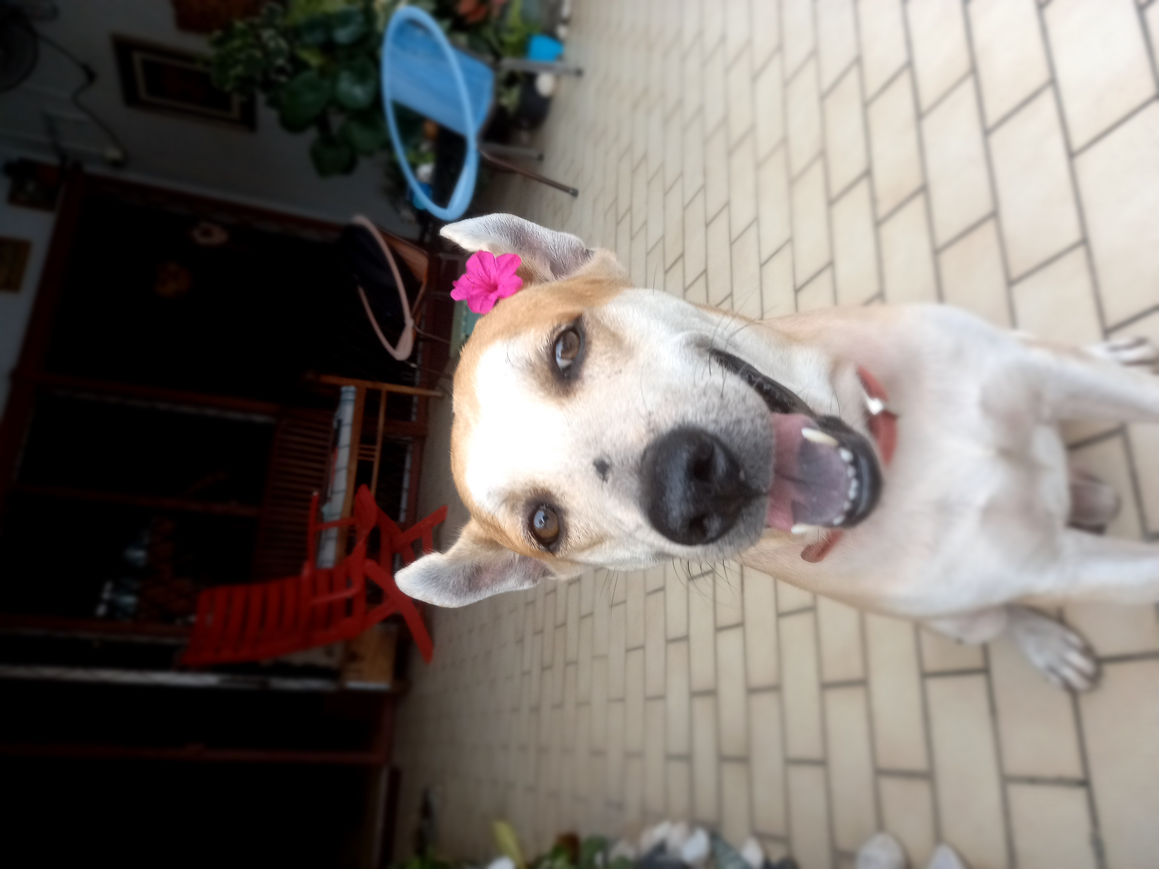 Funny Or Cute Pics Of Your Pets