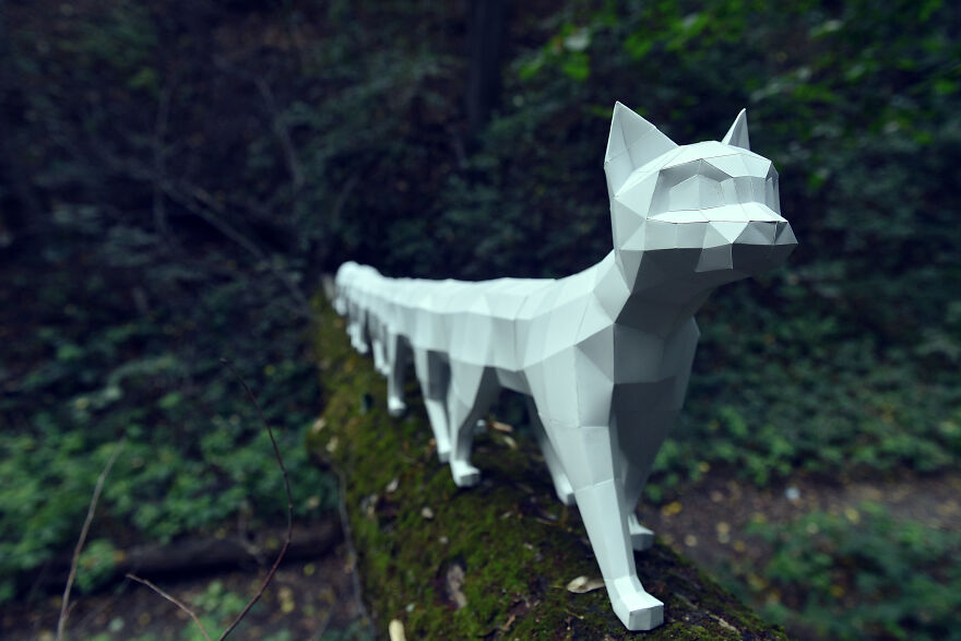 Assembled A 5 Meter Cat From Paper, 2 Months Of Work