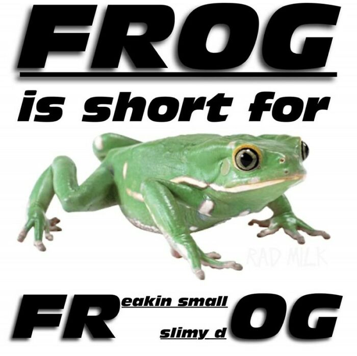 Frog Is Short For: