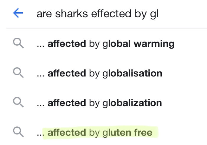 Gluten Free Sharks