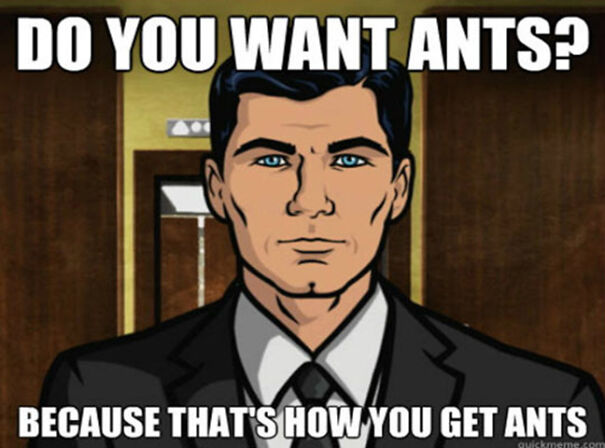 How-You-Get-Ants-619cb7247e12f-png.jpg