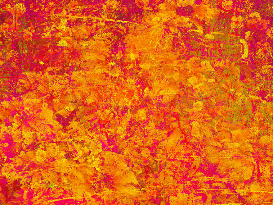 I Made Art Using Code That Finds Outliers In Photos