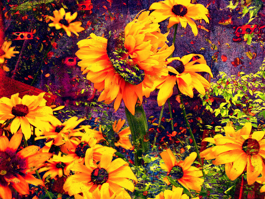 I Made Art Using Code That Finds Outliers In Photos