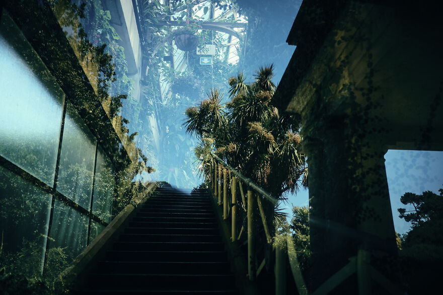 Here Are My 30 Best Pics Showing The Uniqueness Of New Zealand Here Are My 30 Best Pics Showing The Uniqueness Of New Zealand