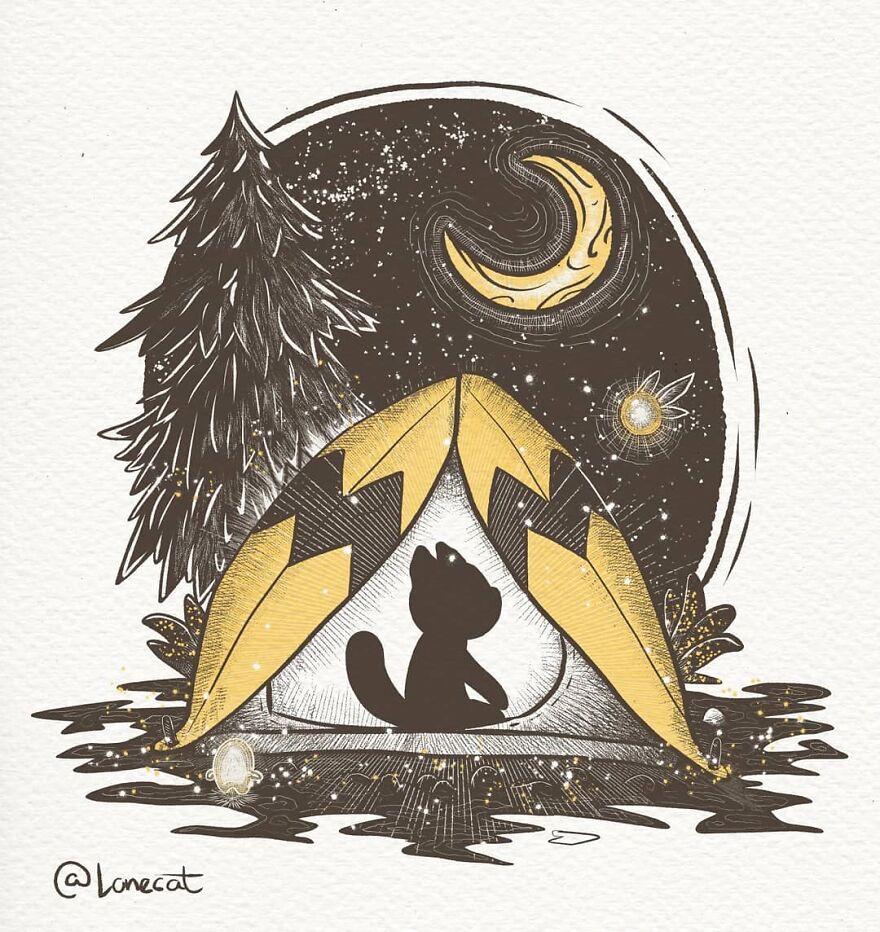 Summer Nights Are Great To Go Camping