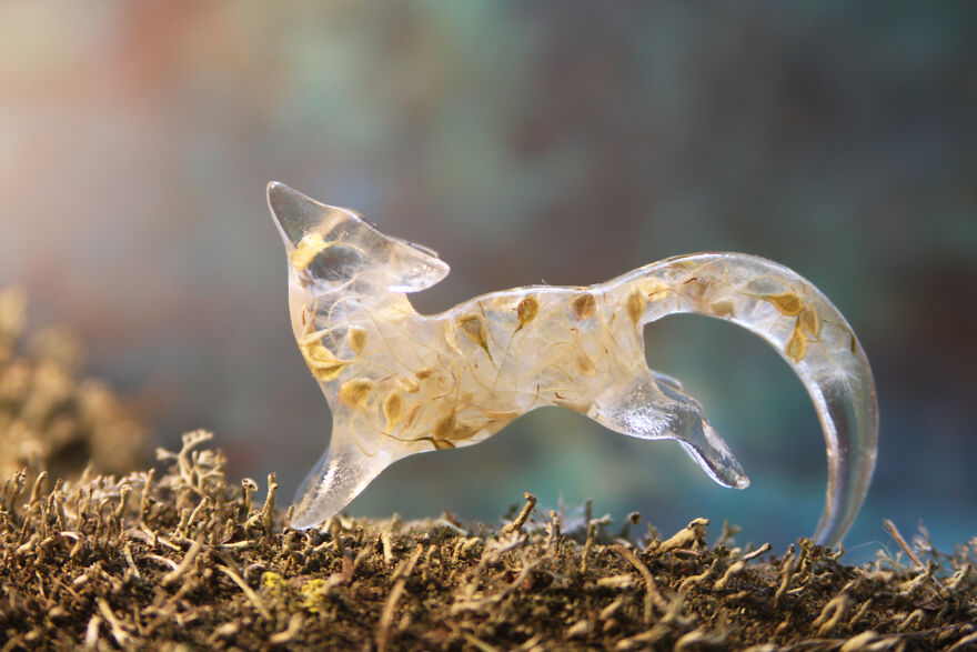 My Studio Makes Transparent Animal Sculptures With Pieces Of Nature Inside My Studio Makes Transparent Animal Sculptures With Pieces Of Nature Inside