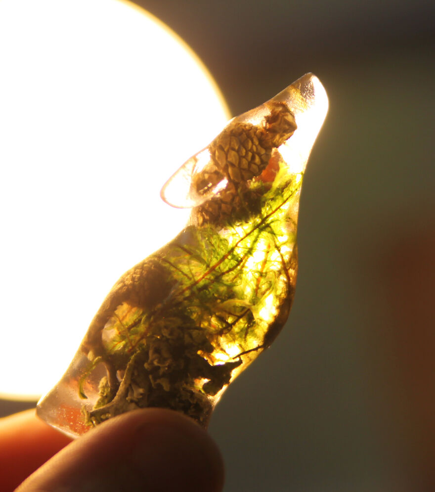 My Studio Makes Transparent Animal Sculptures With Pieces Of Nature Inside My Studio Makes Transparent Animal Sculptures With Pieces Of Nature Inside