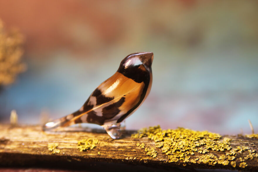 My Studio Makes Transparent Animal Sculptures With Pieces Of Nature Inside My Studio Makes Transparent Animal Sculptures With Pieces Of Nature Inside