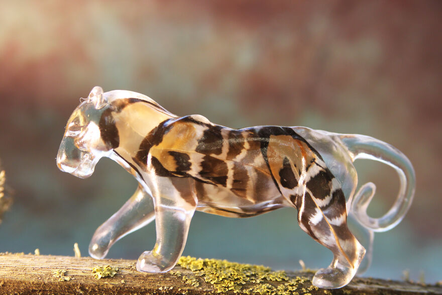 My Studio Makes Transparent Animal Sculptures With Pieces Of Nature Inside My Studio Makes Transparent Animal Sculptures With Pieces Of Nature Inside