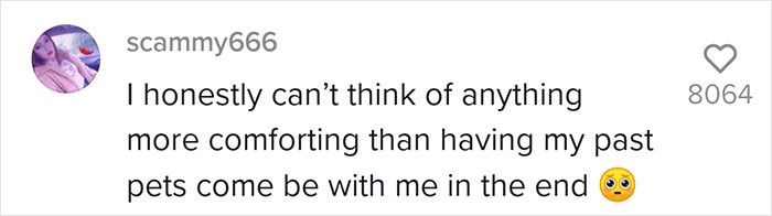 It Appears That There Are 2 Unexplainable Things That Often Occur Before Patients Pass Away And This Nurse Went Viral For Sharing This It Appears That There Are 2 Unexplainable Things That Often Occur Before Patients Pass Away And This Nurse Went Viral For Sharing This
