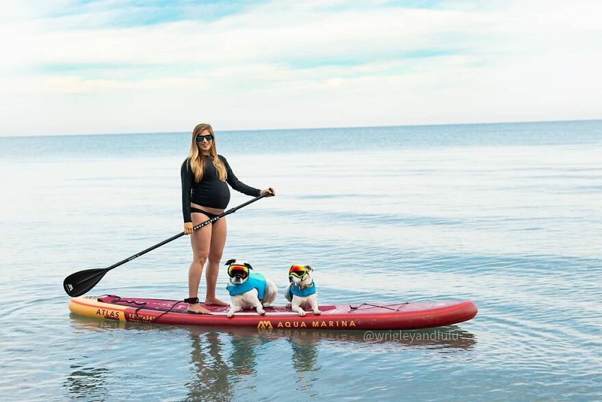 This Dog Learned To Bring Diapers To Help A Newborn Baby's Mother Out, A Video Of It Goes Viral This Dog Learned To Bring Diapers To Help A Newborn Baby's Mother Out, A Video Of It Goes Viral