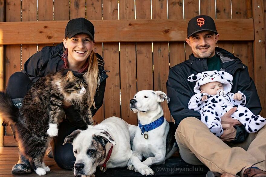 This Dog Learned To Bring Diapers To Help A Newborn Baby's Mother Out, A Video Of It Goes Viral This Dog Learned To Bring Diapers To Help A Newborn Baby's Mother Out, A Video Of It Goes Viral