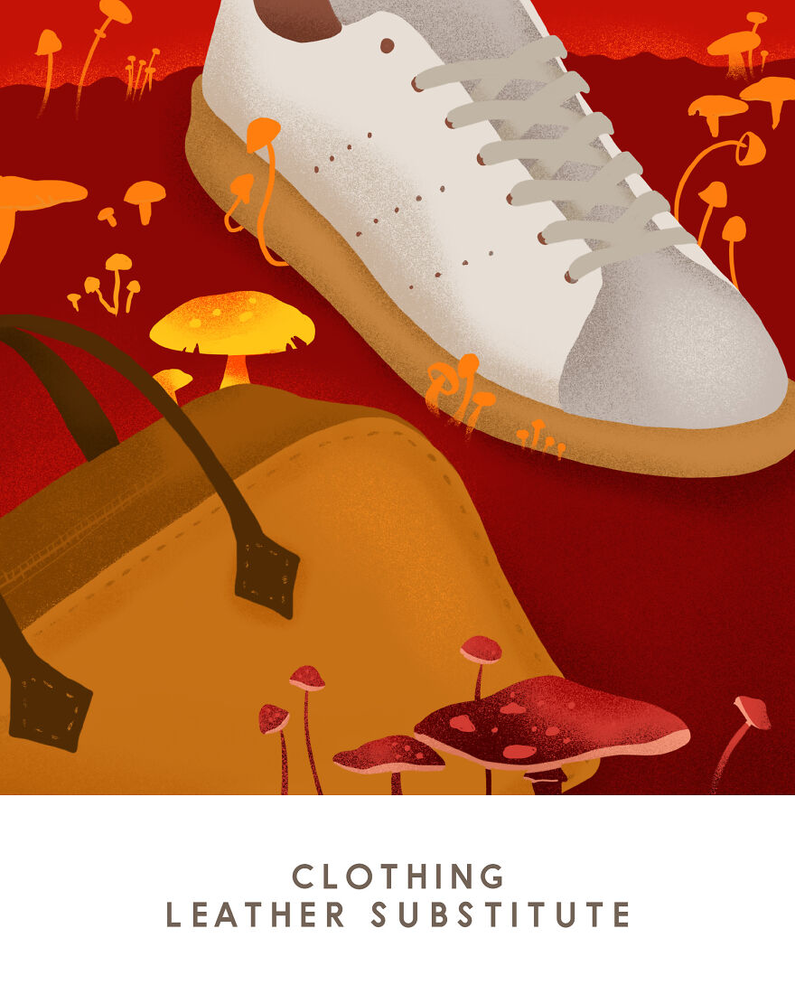 We Illustrated 9 Things You Can Do With Mushrooms Besides Eat Them We Illustrated 9 Things You Can Do With Mushrooms Besides Eat Them