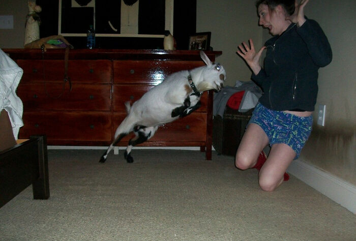 Taken At The Perfect Moment-