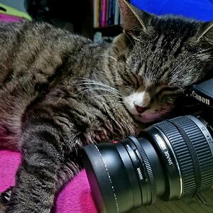 glennwilliams avatar