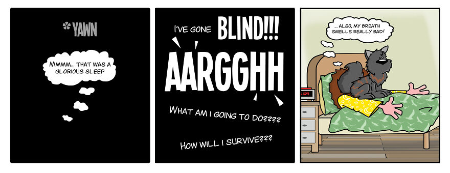 I Created A Cartoon Strip Of My Best Friend's Life To Recover From Depression