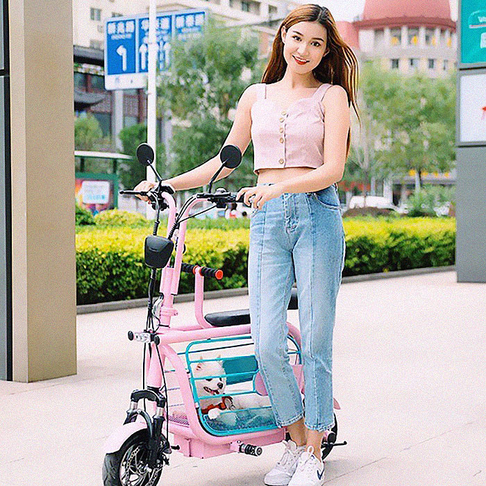 The Japanese Have Invented A Pet-Friendly E-Bike Called A Mopet, And It's Going To Make Their Transportation Much Easier The Japanese Have Invented A Pet-Friendly E-Bike Called A Mopet, And It's Going To Make Their Transportation Much Easier