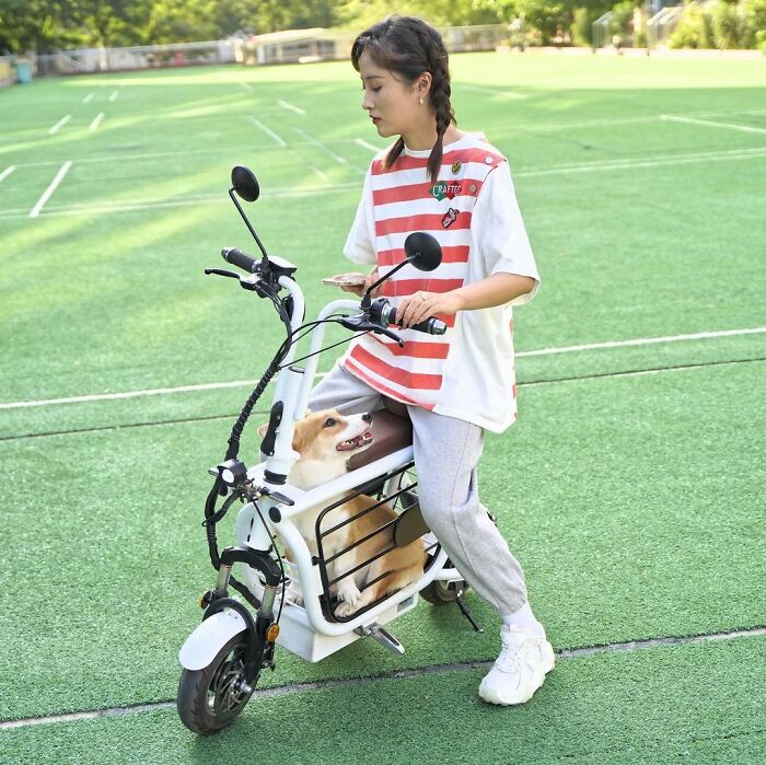The Japanese Have Invented A Pet-Friendly E-Bike Called A Mopet, And It's Going To Make Their Transportation Much Easier
