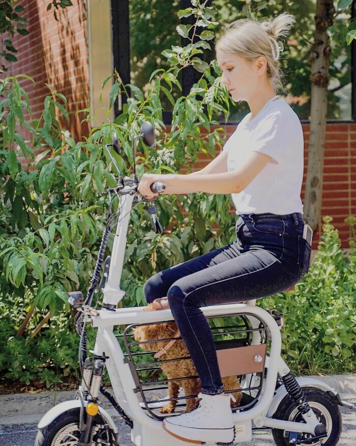 The Japanese Have Invented A Pet-Friendly E-Bike Called A Mopet, And It's Going To Make Their Transportation Much Easier The Japanese Have Invented A Pet-Friendly E-Bike Called A Mopet, And It's Going To Make Their Transportation Much Easier