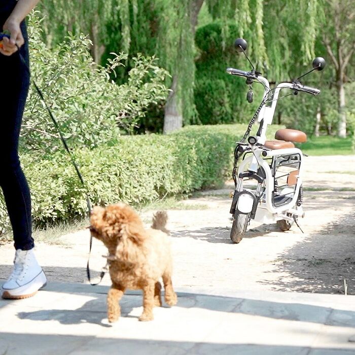 The Japanese Have Invented A Pet-Friendly E-Bike Called A Mopet, And It's Going To Make Their Transportation Much Easier The Japanese Have Invented A Pet-Friendly E-Bike Called A Mopet, And It's Going To Make Their Transportation Much Easier