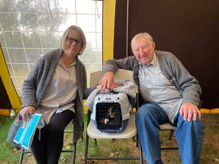 Meet Trudie, The 'Miracle' Cat Who Survived Being Run Over By A Bus And Found A New Forever Home Meet Trudie, The 'Miracle' Cat Who Survived Being Run Over By A Bus And Found A New Forever Home