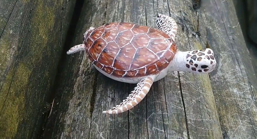 Pebble Turtle