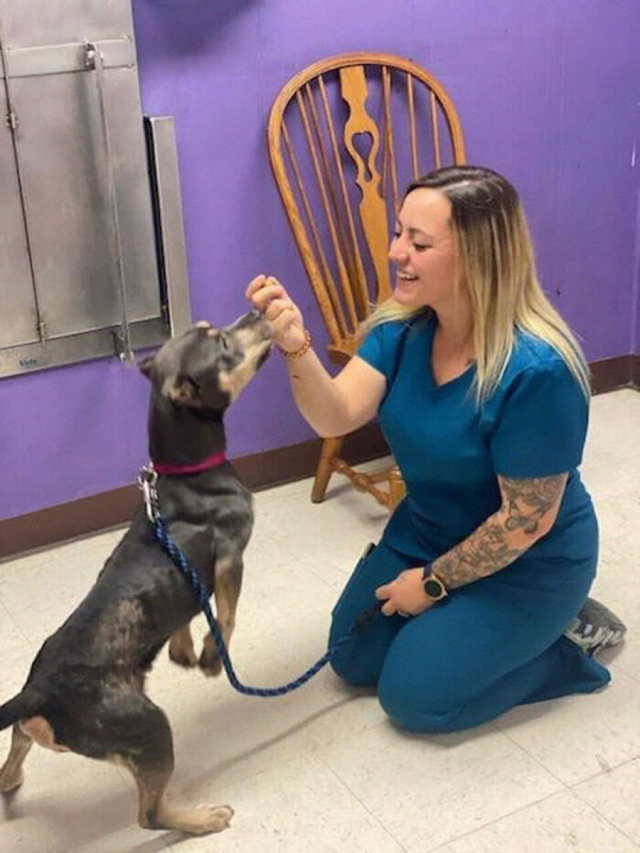 Woman Takes A Starving Pit Bull Under Her Wing After It Had Been Found Locked Up In An Abandoned House With A Broken Leg And No Food Woman Takes A Starving Pit Bull Under Her Wing After It Had Been Found Locked Up In An Abandoned House With A Broken Leg And No Food