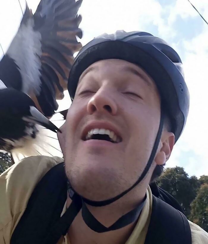 Just Trying To Ride A Bike Near A Nesting Magpie