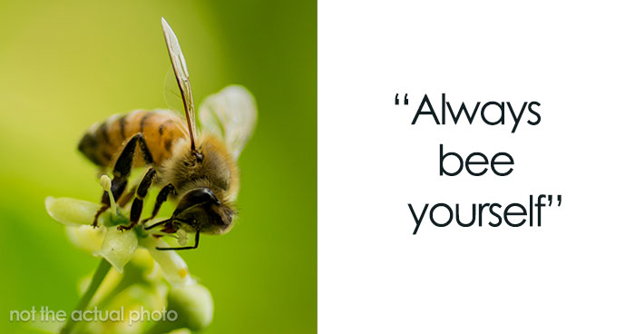 Cutest Bee Puns That’ll Positively Bee-witch You