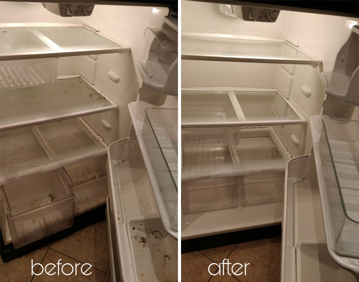 Today I Cleaned The Fridge