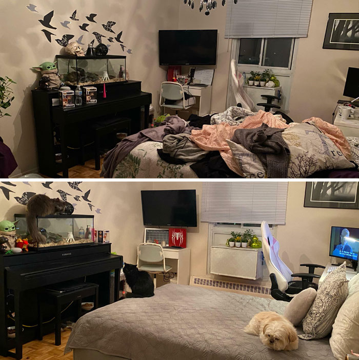 What The Power Of A Loving Boyfriend In A Call For Four Hours To Support You Can Do. Cleaned My Depression Nest!