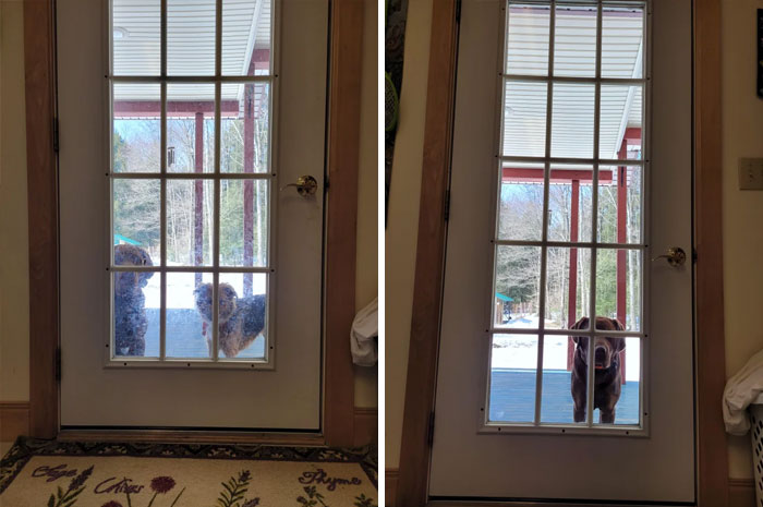 The Before And After Cleaning Of A Door