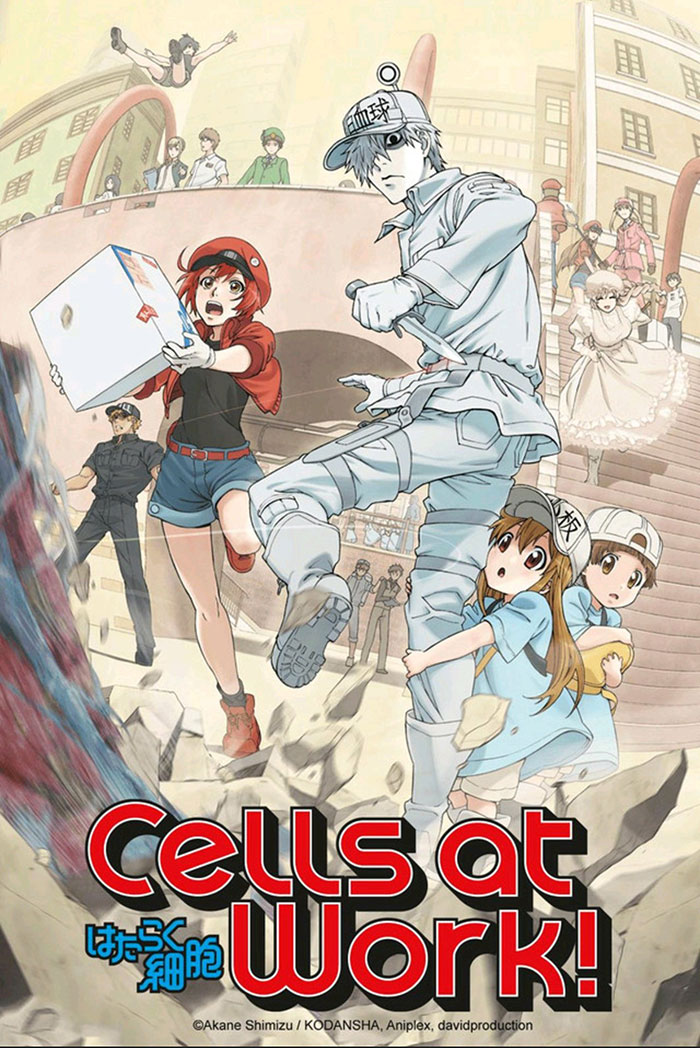 Poster of Cells At Work! anime series 