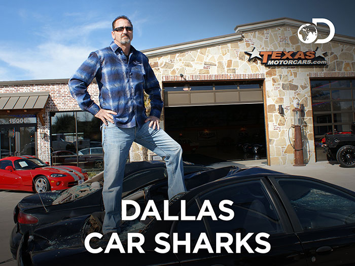 Poster of Dallas Car Sharks tv show 