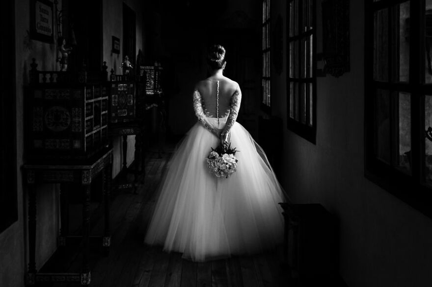 Solo Portrait: Viviana Calaon Moscova