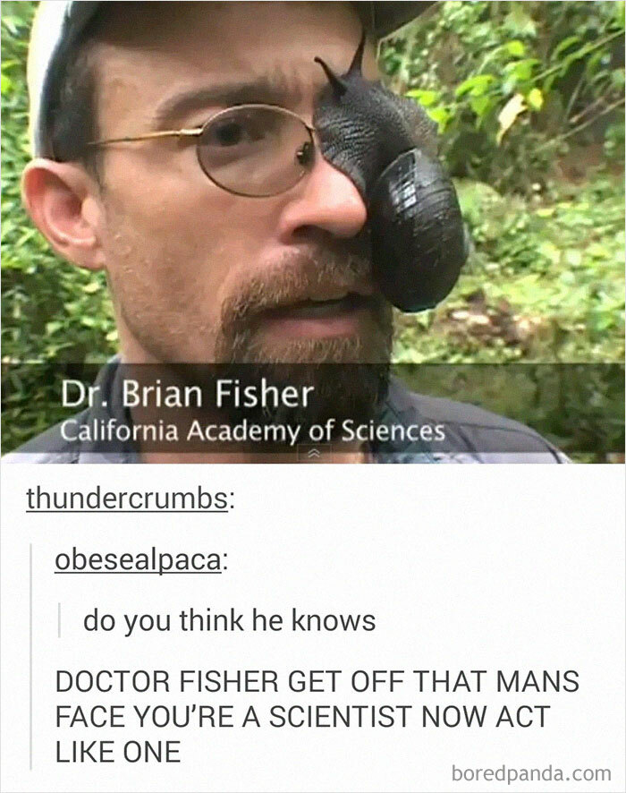 Dr. Brian Fisher The Slugeye