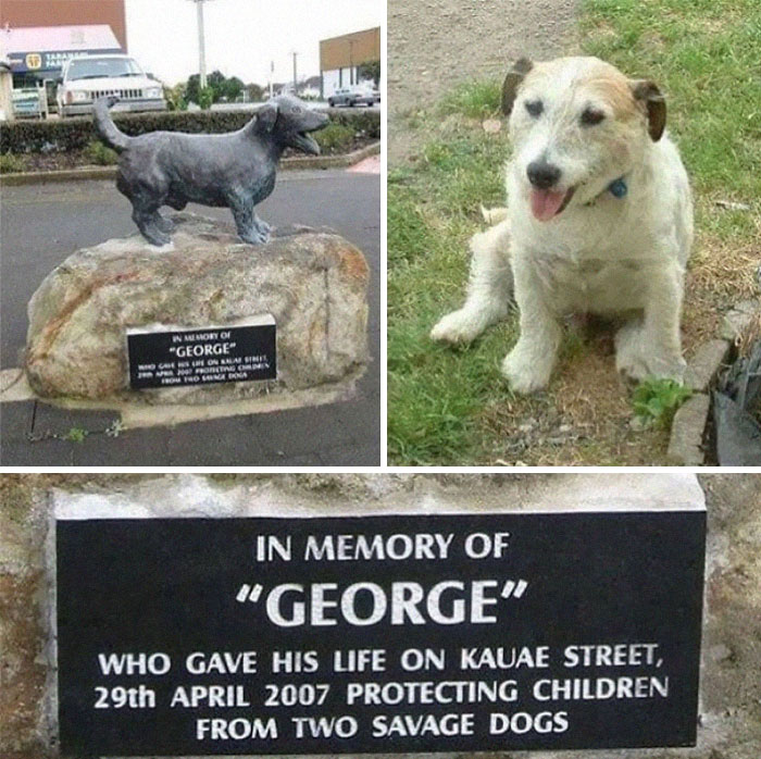George The Protector, If He's Around Then You'll Be Safe