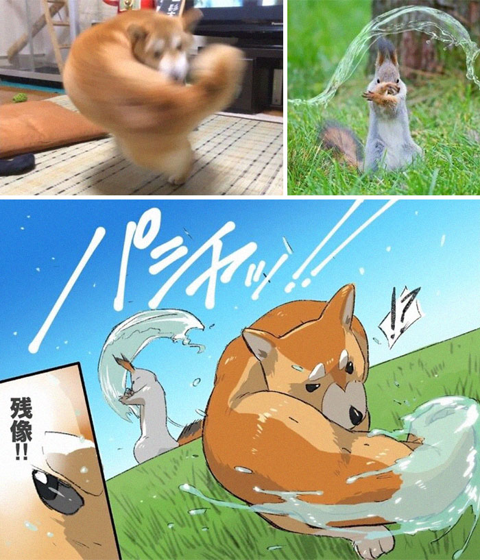 Right Hook Shiba vs. Water-Bending Squirrel