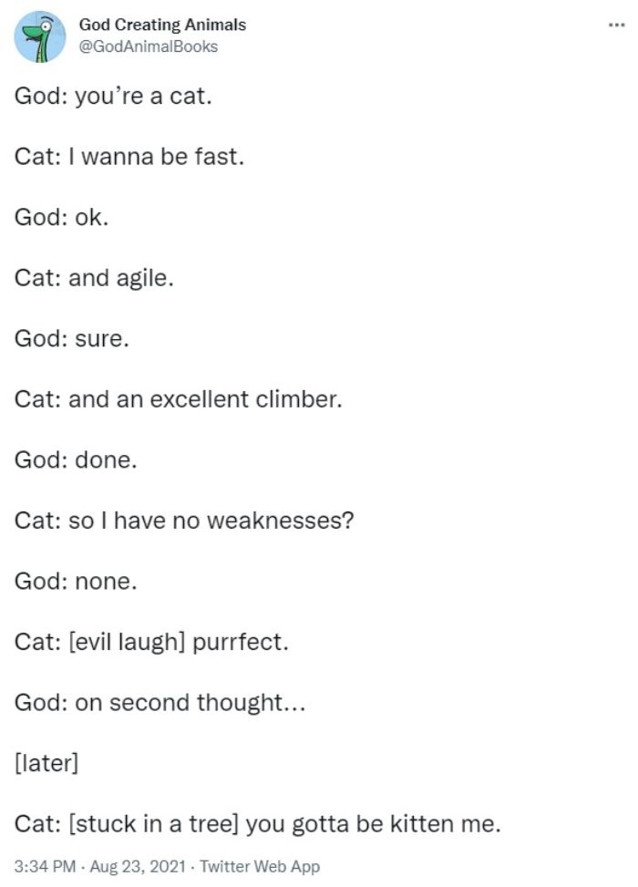 God Creates A Cat