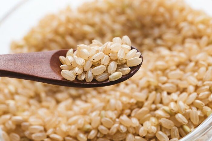 Grains And Cereals: Barley