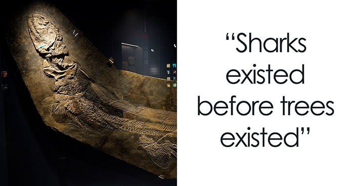 The More You Know: Internet Users Share 50 Cool Facts That Everyone Should Know