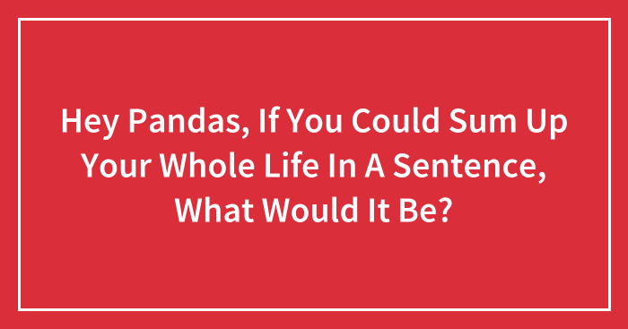 Hey Pandas, If You Could Sum Up Your Whole Life In A Sentence, What Would It Be? (Closed)