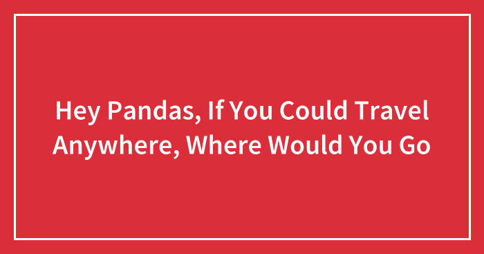 Hey Pandas, If You Could Travel Anywhere, Where Would You Go (Closed)