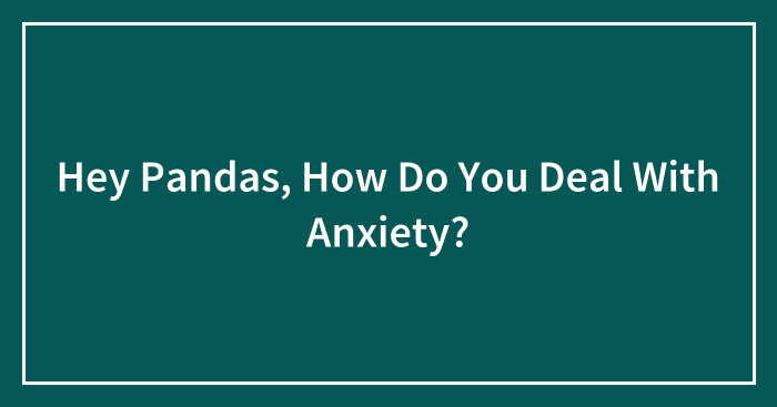 Hey Pandas, How Do You Deal With Anxiety? (Closed)