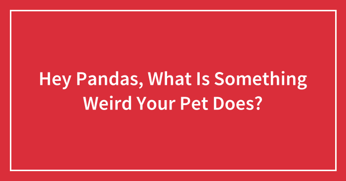 Hey Pandas, What Is Something Weird Your Pet Does? (Closed)