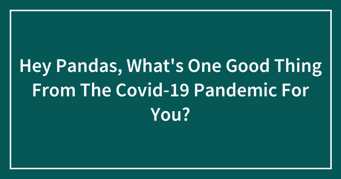 Hey Pandas, What’s One Good Thing From The Covid-19 Pandemic For You? (Closed)