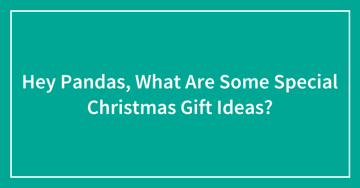 Hey Pandas, What Are Some Special Christmas Gift Ideas? (Closed)