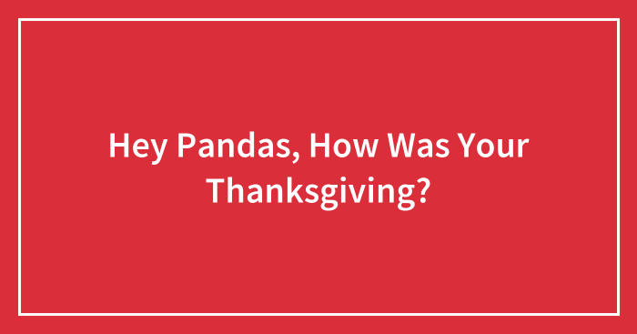 Hey Pandas, How Was Your Thanksgiving? (Closed)