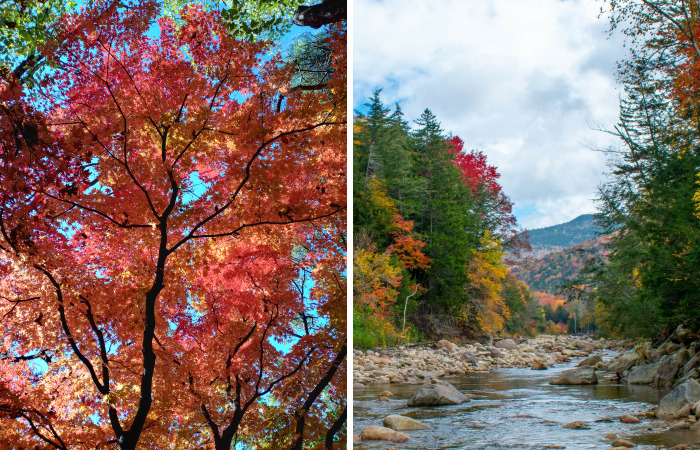 Hey Pandas, Post A Fall Photo You Took (Closed)